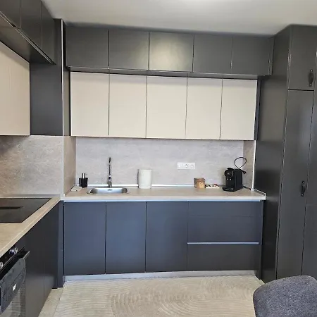 Stylish And Modern 1bdrm Free Private Parking Apartman Szófia