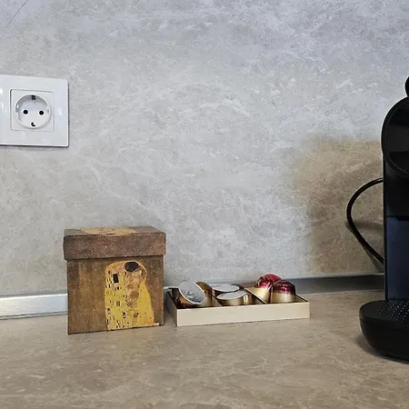 Stylish And Modern 1bdrm Free Private Parking Apartman Szófia
