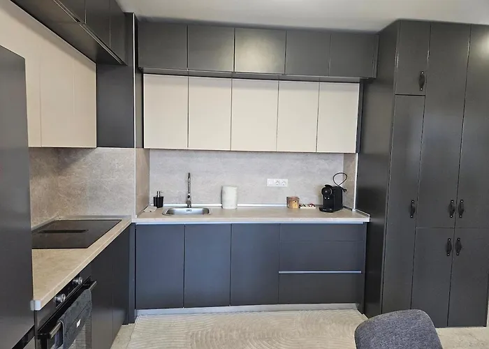 Stylish And Modern 1bdrm Free Private Parking アパート ソフィア